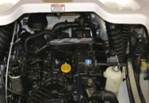 Motor-neu