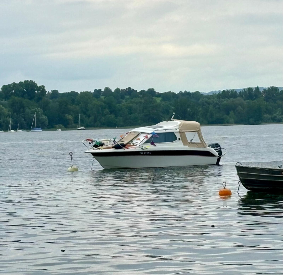 Finnmaster 6100 Royal OC