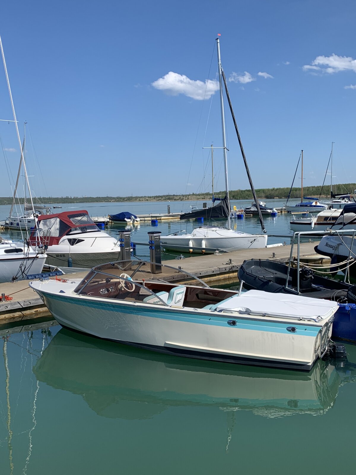 Alumna „Silbermöwe“ IMG_4378