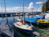 11815f5b-b28f-4246-8a34-7d4355341458