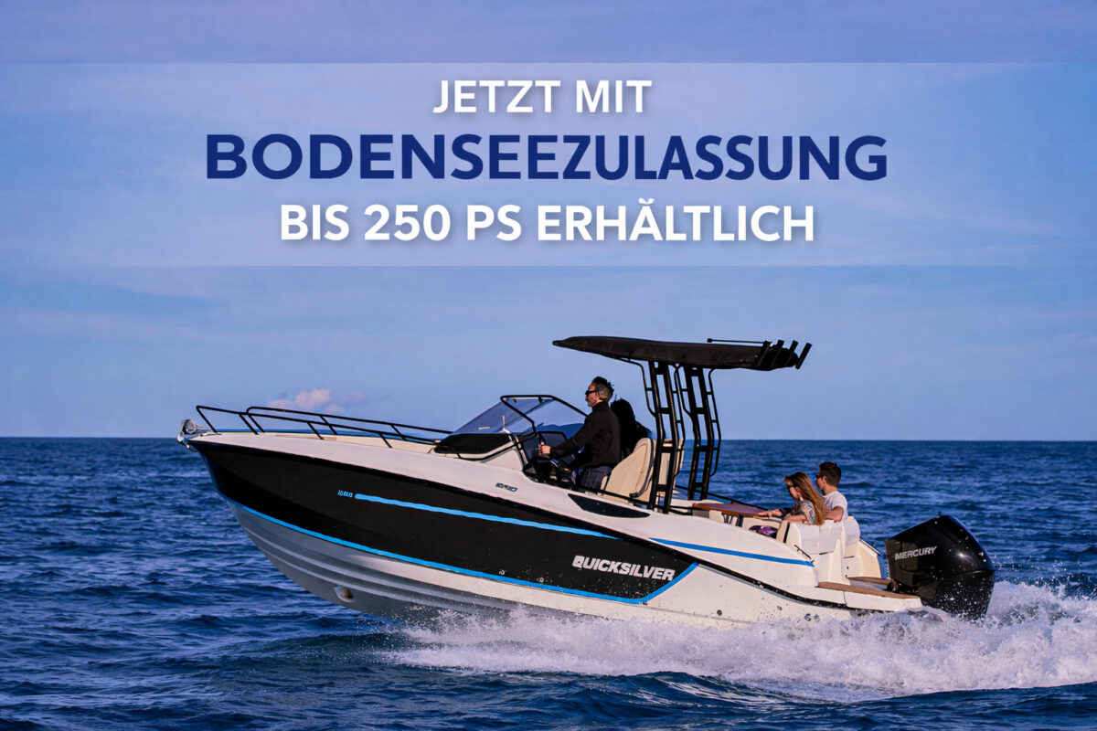 Quicksilver Activ 805 Open, bis 250PS & Trailer (NEU auf Bestellung)