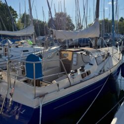 2b8bb8cf-94d0-420f-a76b-fa9f61c87c06 (1)