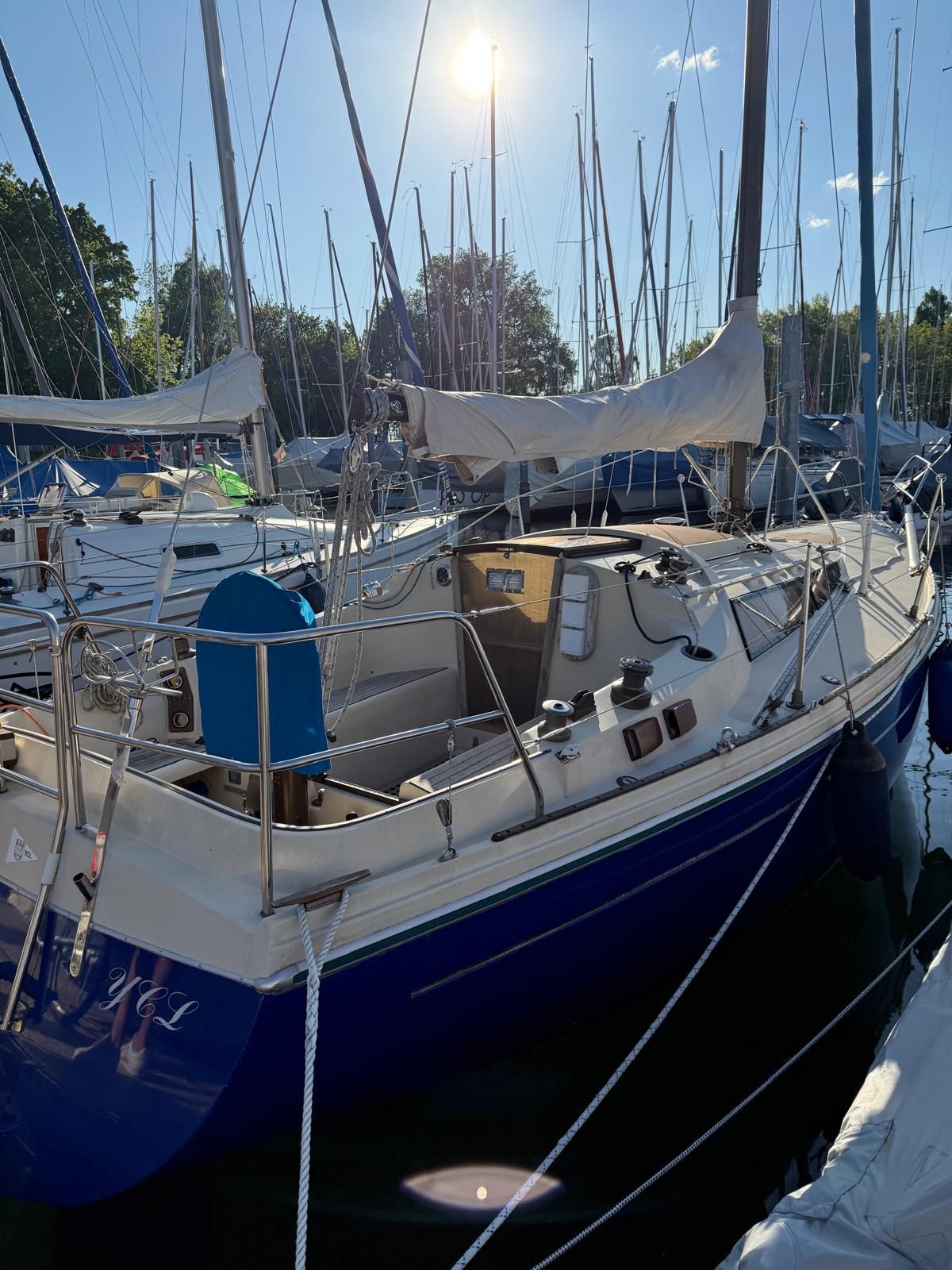 2b8bb8cf-94d0-420f-a76b-fa9f61c87c06 (1)