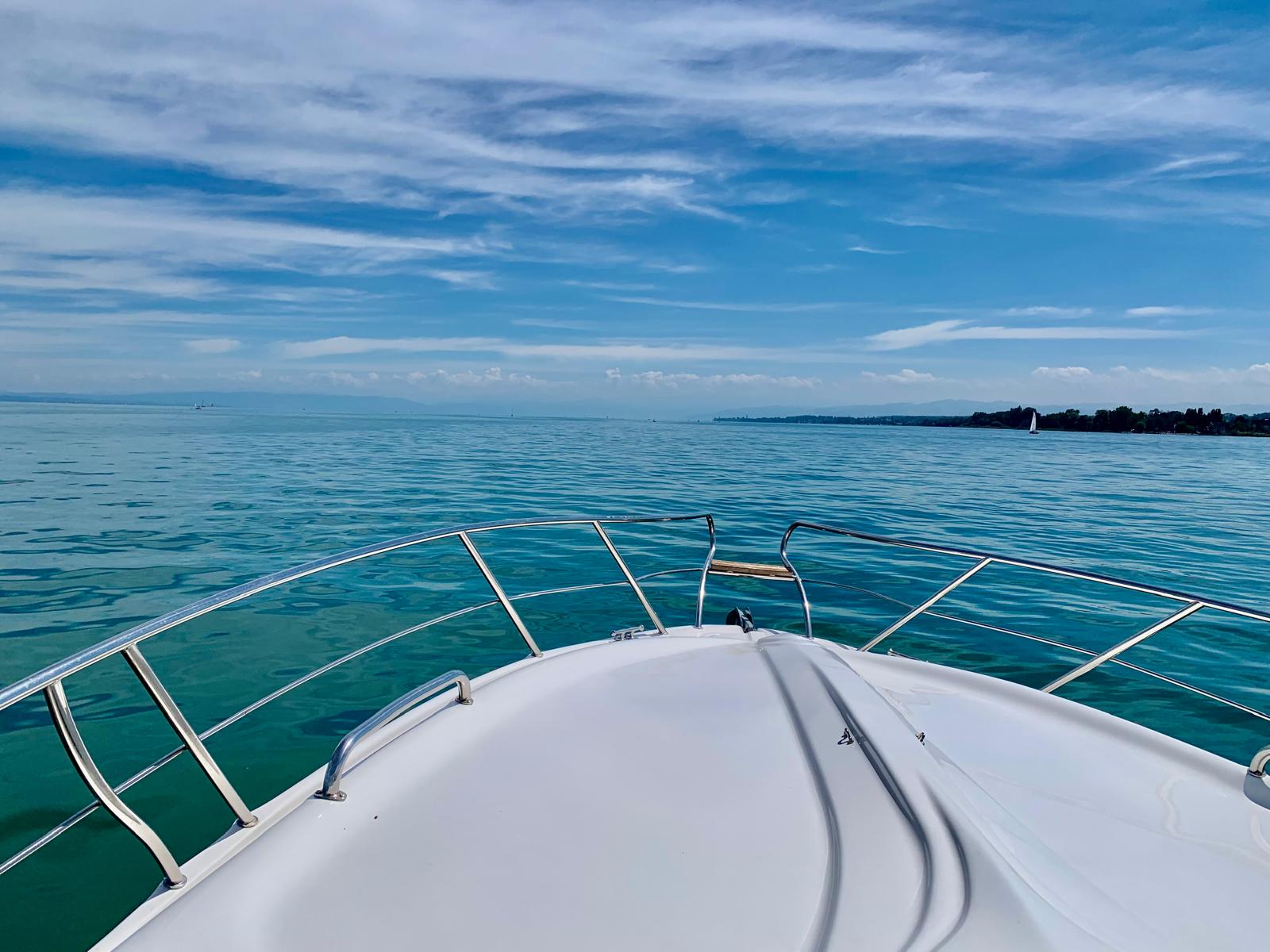 WhatsApp Image 2024-12-30 at 09.21.58