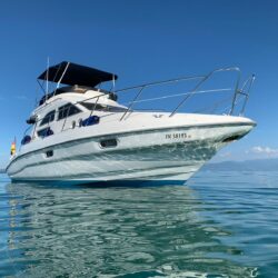 Sealine F33 Flybridge