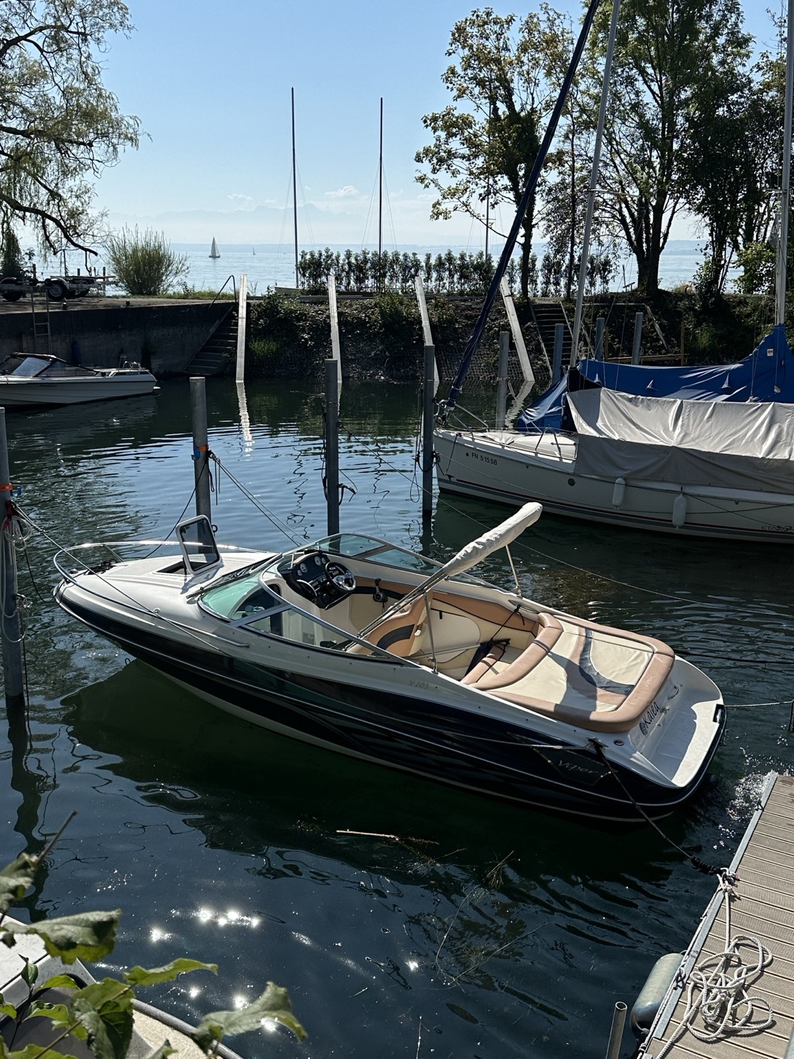 Viper 203 mit Liegeplatz IMG_2042