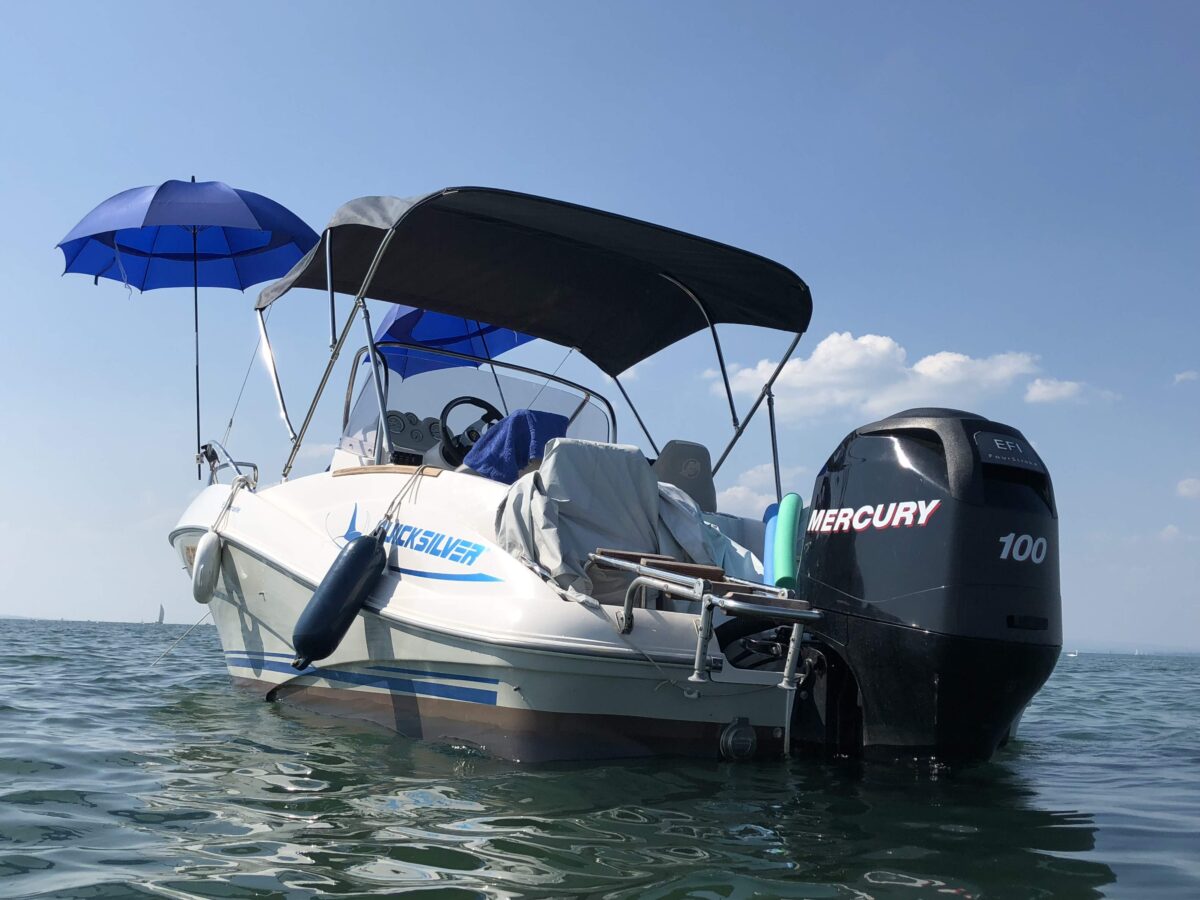Quicksilver 555 Commander IMG_0288